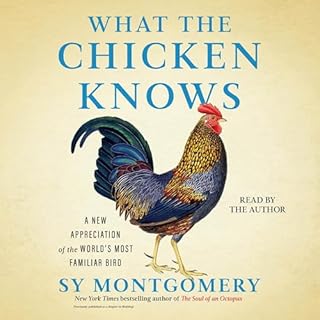 What the Chicken Knows Audiolibro Por Sy Montgomery arte de portada