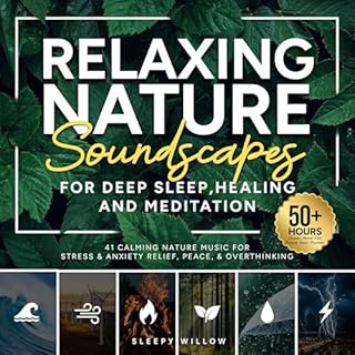 Relaxing Nature Soundscapes for Deep Sleep, Healing and Meditation Audiobook By Sleepy Willow cover art