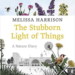 The Stubborn Light of Things cover art