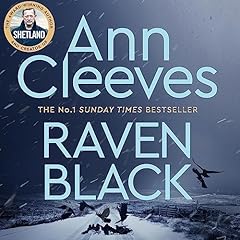 Raven Black cover art