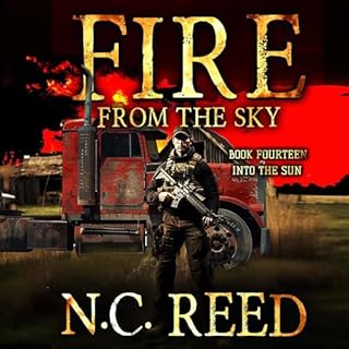 Into the Sun Audiolibro Por N.C. Reed arte de portada