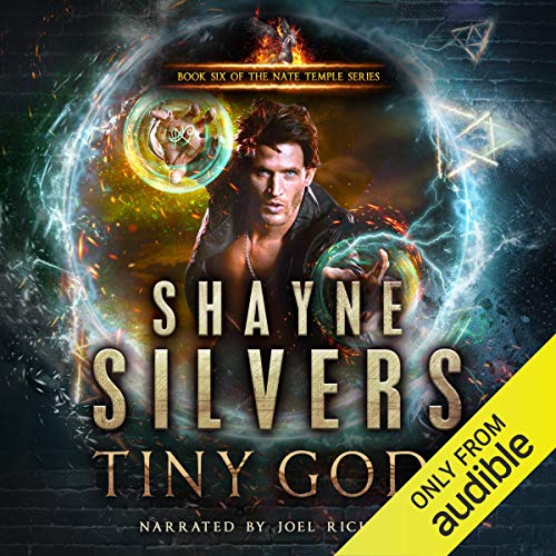 Tiny Gods Audiolibro Por Shayne Silvers arte de portada