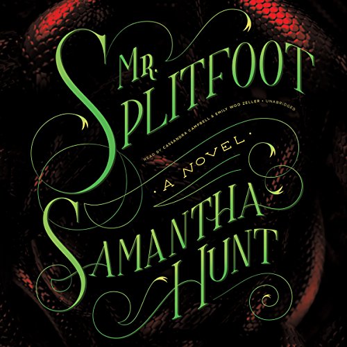 Mr. Splitfoot cover art