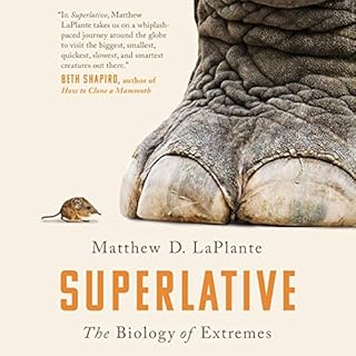 Superlative Audiobook By Matthew D. LaPlante cover art