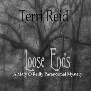 Loose Ends Audiolibro Por Terri Reid arte de portada