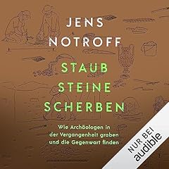 Staub, Steine, Scherben Titelbild