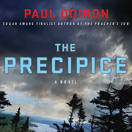 The Precipice Audiobook By Paul Doiron cover art