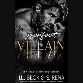 Perfect Villain Audiobook By J. L. Beck, S. Rena cover art