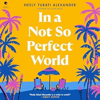 In a Not So Perfect World Audiobook By Neely Tubati-Alexander cover art