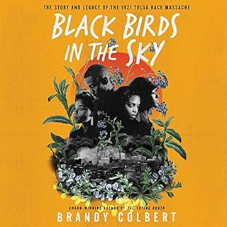 Black Birds in the Sky Audiobook By Brandy Colbert cover art