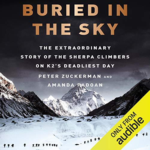 Buried in the Sky Audiobook By Peter Zuckerman, Amanda Padoan cover art