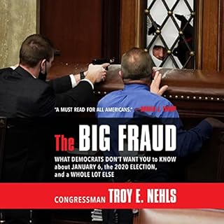 The Big Fraud Audiobook By Troy E. Nehls cover art