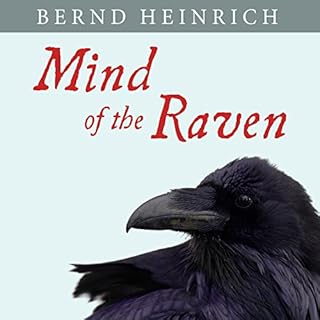 Mind of the Raven Audiolibro Por Bernd Heinrich arte de portada