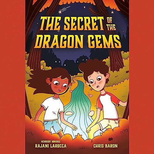 Page de couverture de The Secret of the Dragon Gems