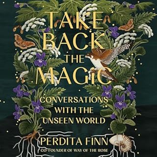 Take Back the Magic Audiolibro Por Perdita Finn arte de portada