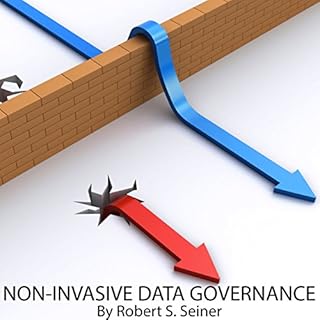 Non-Invasive Data Governance Audiobook By Robert S. Seiner cover art