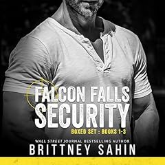 Falcon Falls Security Boxed Set, Books 1-3 cover art