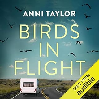 Birds in Flight Audiobook By Anni Taylor cover art