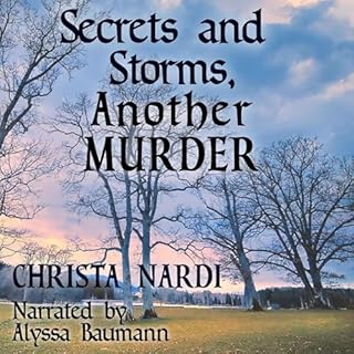 Secrets and Storms, Another Murder Audiolibro Por Christa Nardi arte de portada