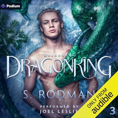 DragonKing Audiolibro Por S. Rodman arte de portada