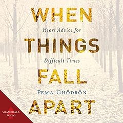 Couverture de When Things Fall Apart