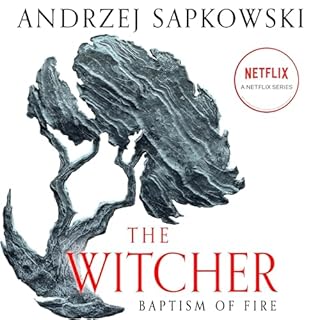 Baptism of Fire Audiobook By Andrzej Sapkowski, David French - Translator cover art