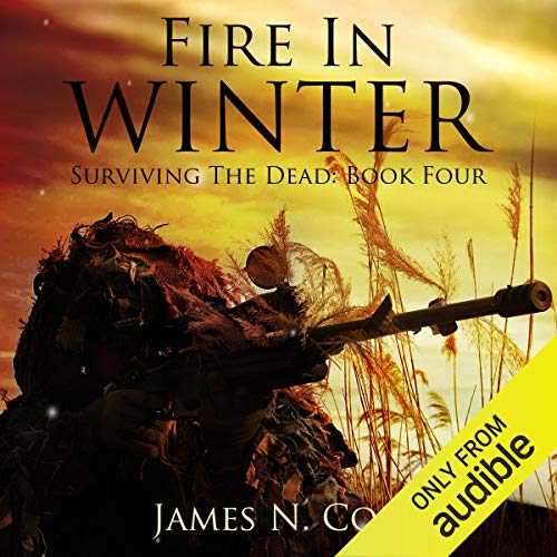 Fire in Winter Audiobook By James N. Cook cover art