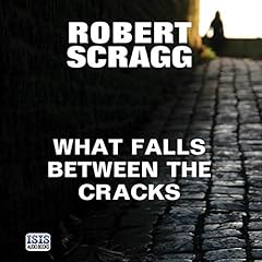 What Falls Between the Cracks cover art