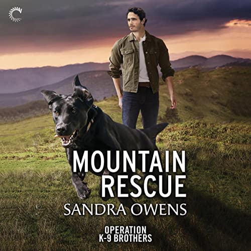 Mountain Rescue Audiolibro Por Sandra Owens arte de portada