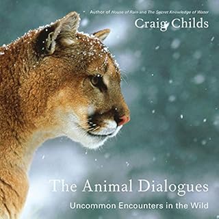 The Animal Dialogues Audiobook By Craig Childs cover art