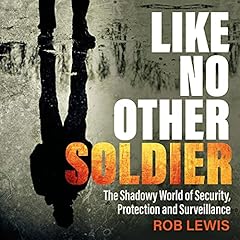 Like No Other Soldier cover art