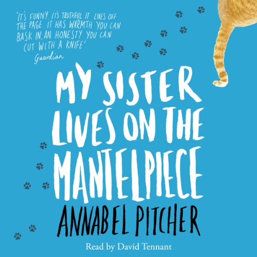 My Sister Lives on the Mantelpiece Audiobook By Annabel Pitcher cover art