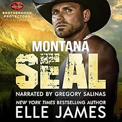 Montana SEAL Audiolibro Por Elle James arte de portada