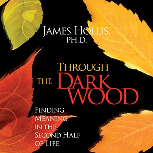 Through the Dark Wood Audiobook By James Hollis PhD cover art