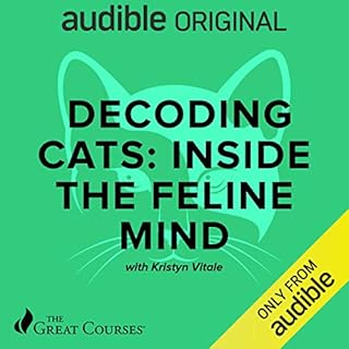 Decoding Cats: Inside the Feline Mind Audiobook By Kristyn Vitale, The Great Courses cover art