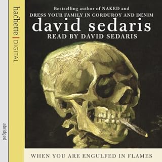 When You Are Engulfed in Flames Audiobook By David Sedaris cover art