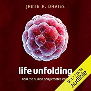 Life Unfolding Audiobook By Jamie A. Davies cover art