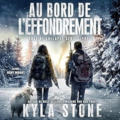 Couverture de Au Bord De L’effondrement