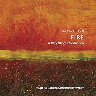 Fire Audiobook By Andrew C. Scott cover art