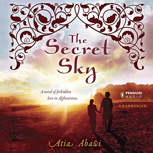 The Secret Sky cover art