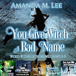 You Give Witch a Bad Name: Wicked Witches of the Midwest, Shorts 11-15 Audiobook By Amanda M. Lee cover art