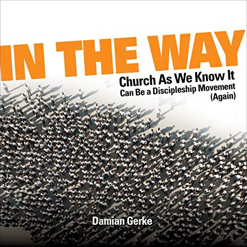 In the Way Audiolibro Por Damian Gerke arte de portada