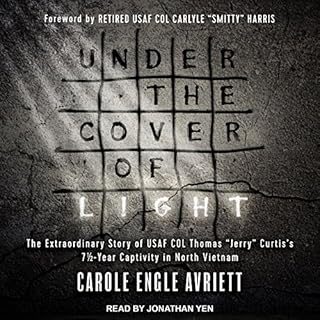 Under the Cover of Light Audiobook By Carole Engle Avriett cover art