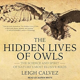 The Hidden Lives of Owls Audiolibro Por Leigh Calvez arte de portada