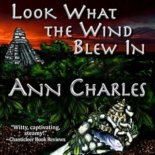 Look What the Wind Blew In Audiolibro Por Ann Charles arte de portada