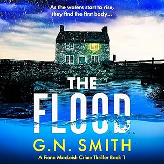 The Flood Audiobook By G.N. Smith cover art