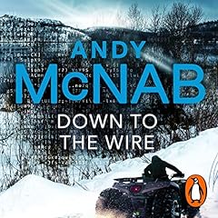 Couverture de Down to the Wire