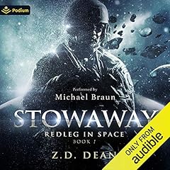 Stowaway cover art