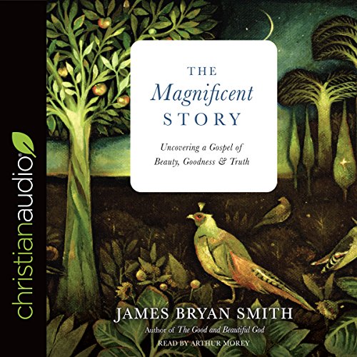 The Magnificent Story Audiobook By James Bryan Smith cover art