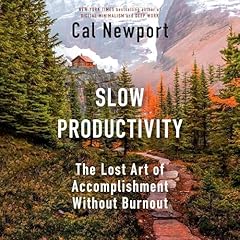 Couverture de Slow Productivity